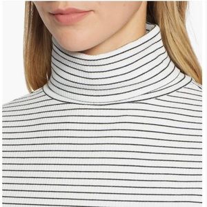Halogen Long Sleeve Turtleneck